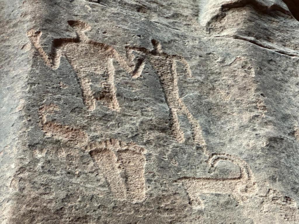 Bedouin Tours Camp Ξενοδοχείο Ουάντι Ραμ Εξωτερικό φωτογραφία